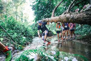 BIB: 
                            <button type="button" onclick="openModal(25444861)" class="btn btn-primary btn-sm float-right btn-popup" data-toggle="modal" data-target=".modal-high-quality">
                        <i class="fas fa-shopping-cart"></i> Add to Cart
                    </button>
                                            <button type="button" onclick="isThisMe(25444861, true)" class="btn btn-success btn-sm float-right btn-popup btn-isme hidden" data-toggle="tooltip" data-placement="bottom" title="นี่คือรูปของคุณใช่ไหม คลิกที่นี่เพื่อเอาเข้าอัลบั้ม">
                        <i class="fas fa-plus"></i> Add to album
                    </button>
                    <button type="button" onclick="isThisMe(25444861, false)" class="btn btn-warning btn-sm float-right btn-popup btn-isnotme hidden">
                        <i class="fas fa-ban"></i> Remove from album
                    </button>